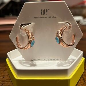 Gorgeous Glamour Bomb Party earrings.